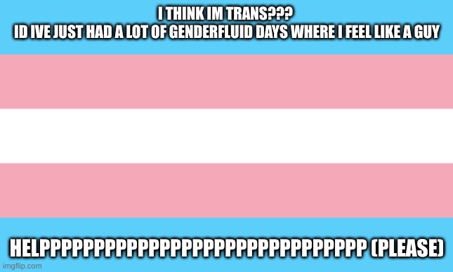 aaaaaaaaaaaaaaaaaaaaaaaaaaaaaaaaaaaaah | I THINK IM TRANS??? 
ID IVE JUST HAD A LOT OF GENDERFLUID DAYS WHERE I FEEL LIKE A GUY; HELPPPPPPPPPPPPPPPPPPPPPPPPPPPPPP (PLEASE) | image tagged in trans flag,transgender,gender identity | made w/ Imgflip meme maker
