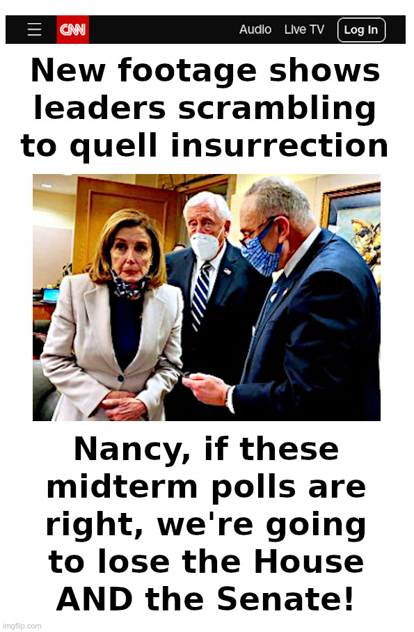 Democrats Fear The Insurrection! | image tagged in nancy pelosi,house,chuck schumer,senate,joe biden,ice cream | made w/ Imgflip meme maker