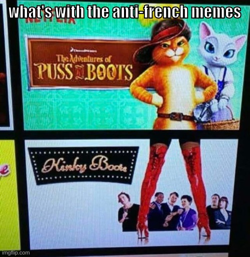 bro i just changed my name | what's with the anti-french memes | image tagged in memes,funny,puss in kinky boots,french,anti,out of the loop | made w/ Imgflip meme maker