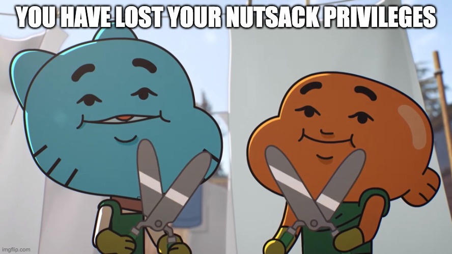 You have lost _ privilege | YOU HAVE LOST YOUR NUTSACK PRIVILEGES | image tagged in you have lost _ privilege | made w/ Imgflip meme maker