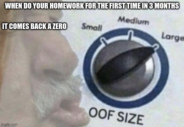 OOF | WHEN DO YOUR HOMEWORK FOR THE FIRST TIME IN 3 MONTHS; IT COMES BACK A ZERO | image tagged in oof | made w/ Imgflip meme maker