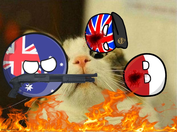 Australiaball has had enough... | image tagged in memes,countryballs,guns,fire,poland,uk | made w/ Imgflip meme maker