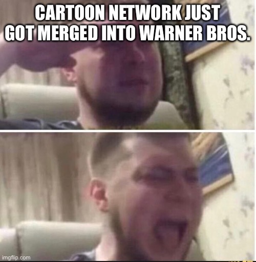 I’m the internet explorer of msmg | CARTOON NETWORK JUST GOT MERGED INTO WARNER BROS. | image tagged in crying salute | made w/ Imgflip meme maker