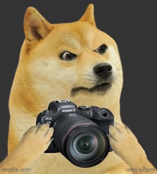 Doge camera | image tagged in doge camera | made w/ Imgflip meme maker