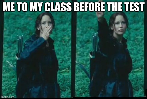 Katniss Respect | ME TO MY CLASS BEFORE THE TEST | image tagged in katniss respect | made w/ Imgflip meme maker