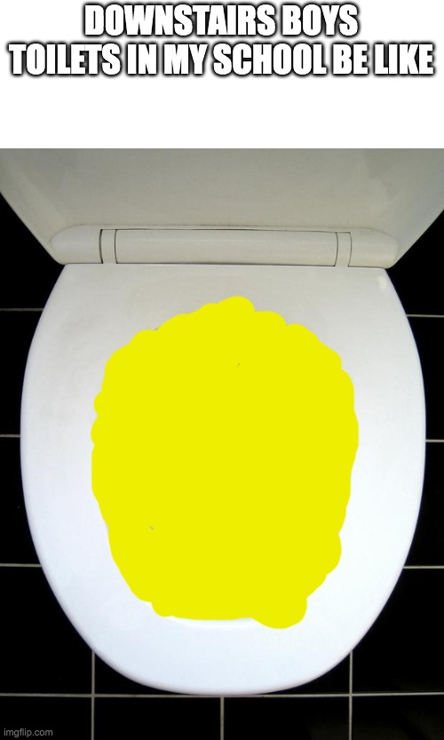 yep, full of piss | DOWNSTAIRS BOYS TOILETS IN MY SCHOOL BE LIKE | image tagged in toilet | made w/ Imgflip meme maker