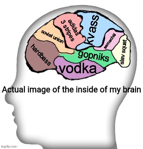 Actual image of the inside of my brain | kvass; adidas 3 stripes; soviet union; semechki; slav squat; hardbass; gopniks; vodka | image tagged in actual image of the inside of my brain | made w/ Imgflip meme maker