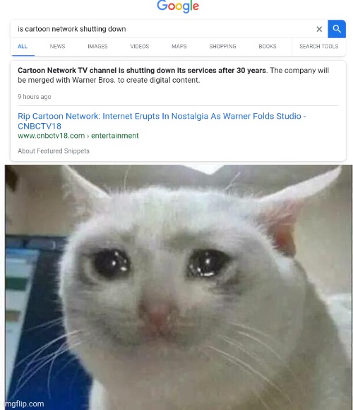 WHY DID THIS HAVE TO HAPPEN | image tagged in crying cat | made w/ Imgflip meme maker