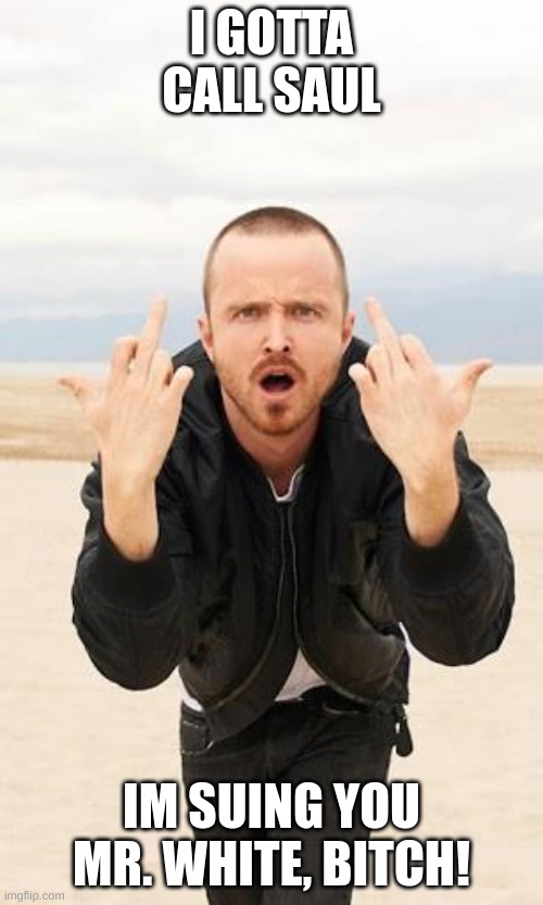jesse pinkman | I GOTTA CALL SAUL; IM SUING YOU MR. WHITE, BITCH! | image tagged in jesse pinkman | made w/ Imgflip meme maker