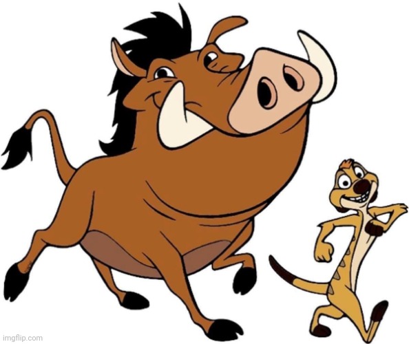 Who remember these 2 characters | image tagged in timon and pumbaa | made w/ Imgflip meme maker