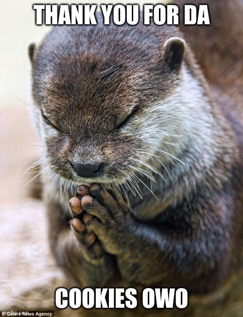 Thank you Lord Otter | THANK YOU FOR DA COOKIES OWO | image tagged in thank you lord otter | made w/ Imgflip meme maker