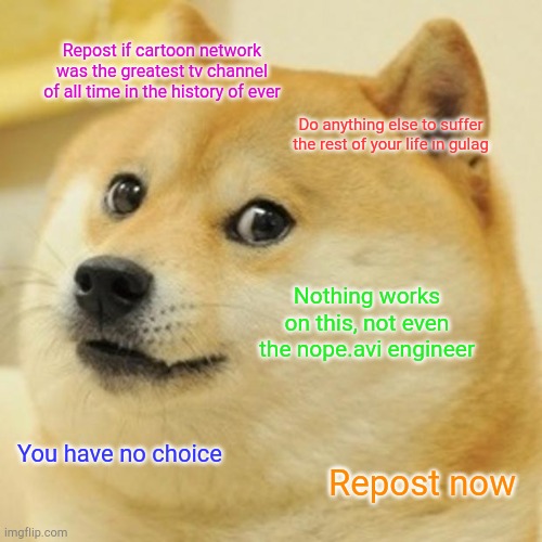 Doge Meme | Repost if cartoon network was the greatest tv channel of all time in the history of ever; Do anything else to suffer the rest of your life in gulag; Nothing works on this, not even the nope.avi engineer; You have no choice; Repost now | image tagged in memes,doge | made w/ Imgflip meme maker