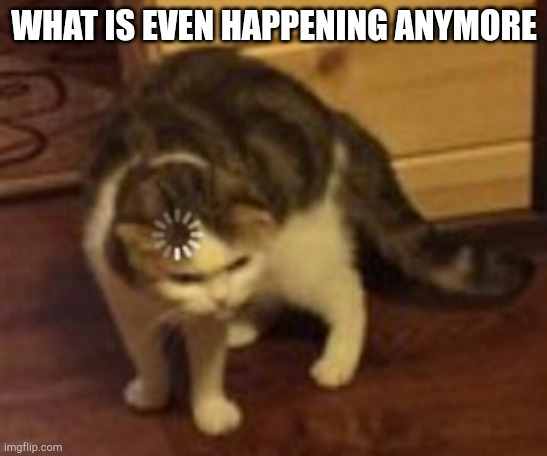 Loading cat | WHAT IS EVEN HAPPENING ANYMORE | image tagged in loading cat | made w/ Imgflip meme maker