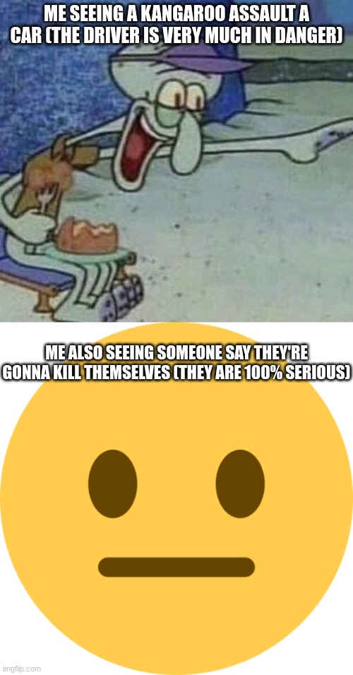 should i seek help | ME SEEING A KANGAROO ASSAULT A CAR (THE DRIVER IS VERY MUCH IN DANGER); ME ALSO SEEING SOMEONE SAY THEY'RE GONNA KILL THEMSELVES (THEY ARE 100% SERIOUS) | made w/ Imgflip meme maker