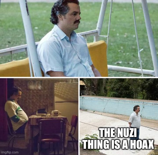 Aka fake | THE NUZI THING IS A HOAX | image tagged in memes,sad pablo escobar | made w/ Imgflip meme maker