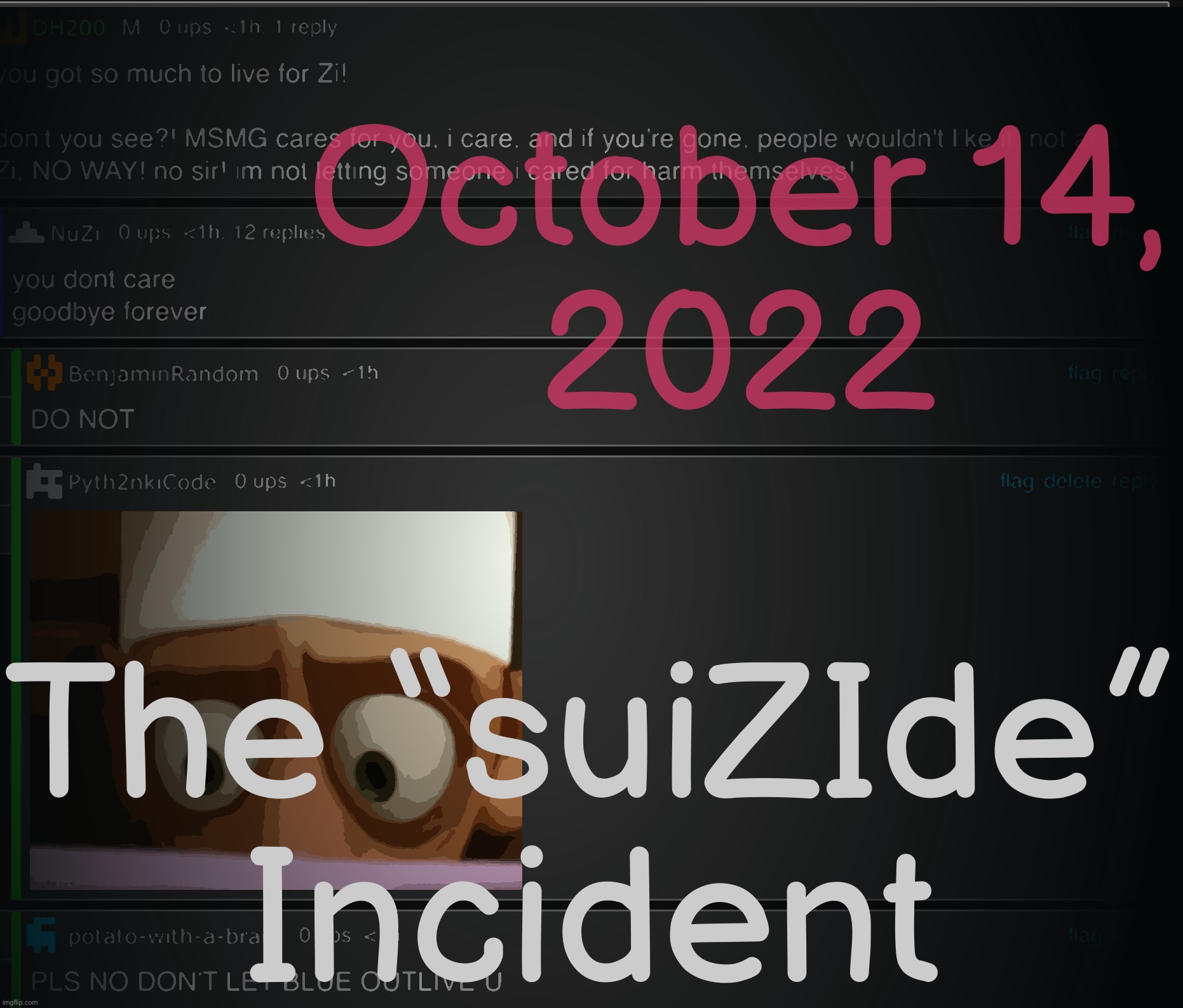 oh yeah also on an unrelated note it’s been 12 years since Benoit Mandelbrot’s death | October 14,
2022; The “suiZIde” Incident | made w/ Imgflip meme maker