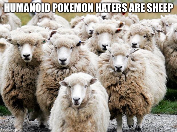 Sheeps | HUMANOID POKEMON HATERS ARE SHEEP | image tagged in sheeps | made w/ Imgflip meme maker