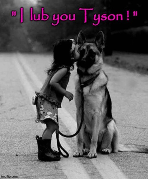True love ! | image tagged in good boy | made w/ Imgflip meme maker