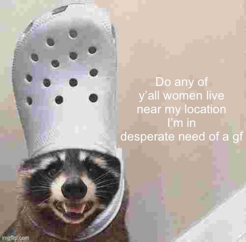 I can make a grilled cheese | Do any of y’all women live near my location
I’m in desperate need of a gf | image tagged in raccoon croc hat | made w/ Imgflip meme maker