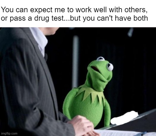 You must be high, sir | You can expect me to work well with others, or pass a drug test...but you can't have both | image tagged in kermit the frog | made w/ Imgflip meme maker