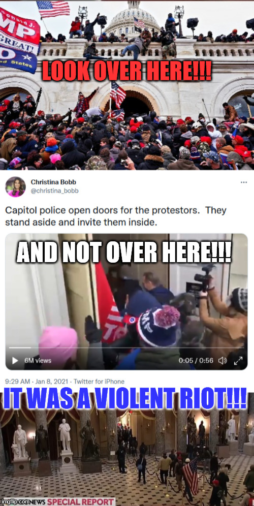 Somebody gave the order to open the doors... | LOOK OVER HERE!!! AND NOT OVER HERE!!! IT WAS A VIOLENT RIOT!!! | image tagged in truth | made w/ Imgflip meme maker