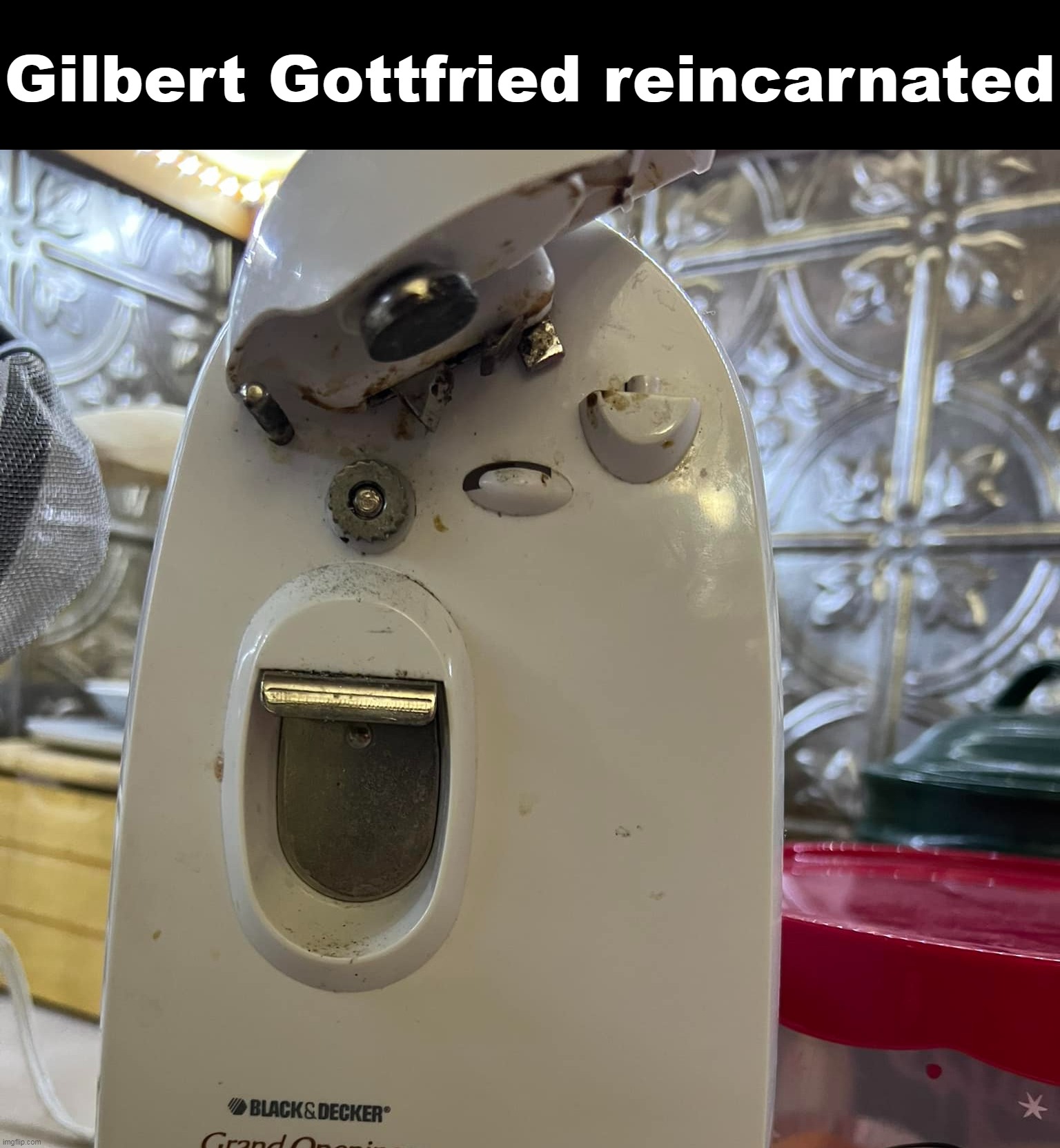 Gilbert Gottfried reincarnated | image tagged in meme,memes,humor,funny,gilbert gottfried | made w/ Imgflip meme maker