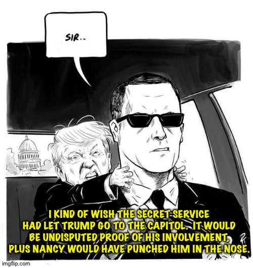 The Donald on January 6. | I KIND OF WISH THE SECRET SERVICE HAD LET TRUMP GO TO THE CAPITOL.  IT WOULD BE UNDISPUTED PROOF OF HIS INVOLVEMENT, PLUS NANCY WOULD HAVE PUNCHED HIM IN THE NOSE. | image tagged in donald trump and secret service agent jan 6 | made w/ Imgflip meme maker