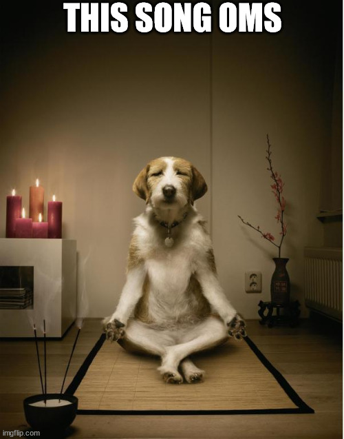 https://youtu.be/_BWPNPtsZm8 (OMS = oh my sylceon) | THIS SONG OMS | image tagged in dog meditation funny | made w/ Imgflip meme maker