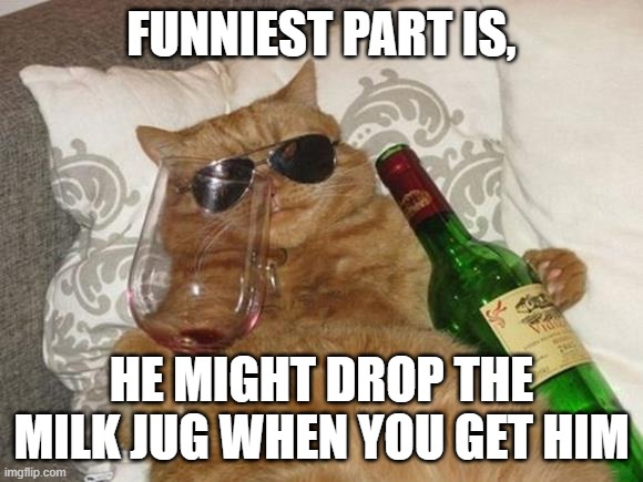 Funny Cat Birthday | FUNNIEST PART IS, HE MIGHT DROP THE MILK JUG WHEN YOU GET HIM | image tagged in funny cat birthday | made w/ Imgflip meme maker