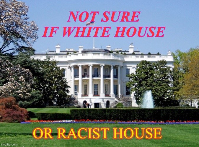 Not Sure if White House or Racist House |  NOT SURE IF WHITE HOUSE; OR RACIST HOUSE | image tagged in white house | made w/ Imgflip meme maker
