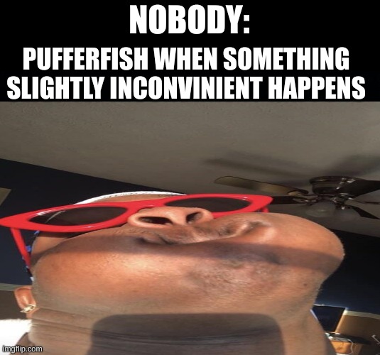 NOBODY:; PUFFERFISH WHEN SOMETHING SLIGHTLY INCONVINIENT HAPPENS | image tagged in black background | made w/ Imgflip meme maker