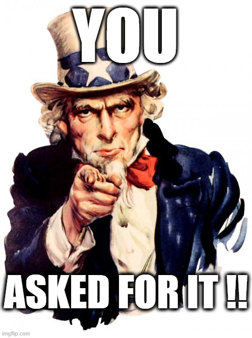 You Asked For It | YOU; ASKED FOR IT !! | image tagged in memes,uncle sam,you asked for it,uncle sam pointing finger,uncle sam finger | made w/ Imgflip meme maker