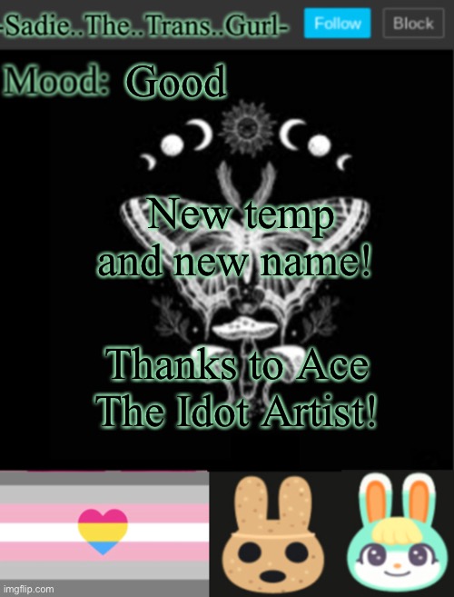 I tweaked it a bit lol | Good; New temp and new name! Thanks to Ace The Idot Artist! | image tagged in sadiesannouncement temp | made w/ Imgflip meme maker