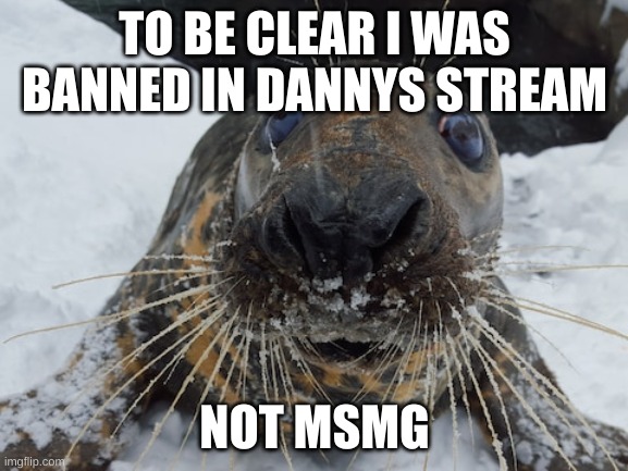 i'm not that vile, to be comment banned in msmg | TO BE CLEAR I WAS BANNED IN DANNYS STREAM; NOT MSMG | image tagged in his name's bim bim | made w/ Imgflip meme maker