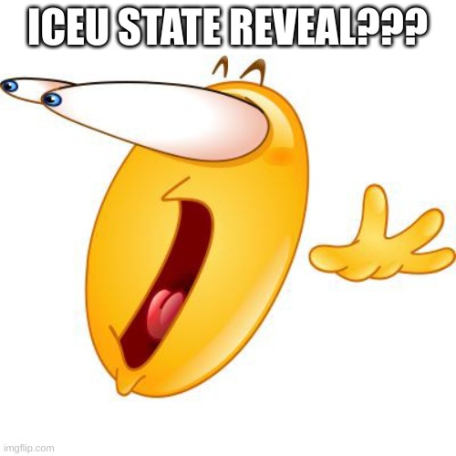 Surprised face emoji | ICEU STATE REVEAL??? | image tagged in surprised face emoji | made w/ Imgflip meme maker