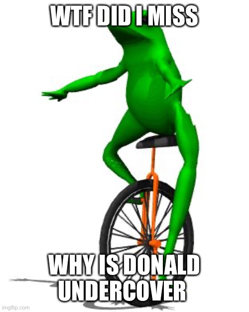 Q | WTF DID I MISS; WHY IS DONALD UNDERCOVER | image tagged in memes,dat boi | made w/ Imgflip meme maker