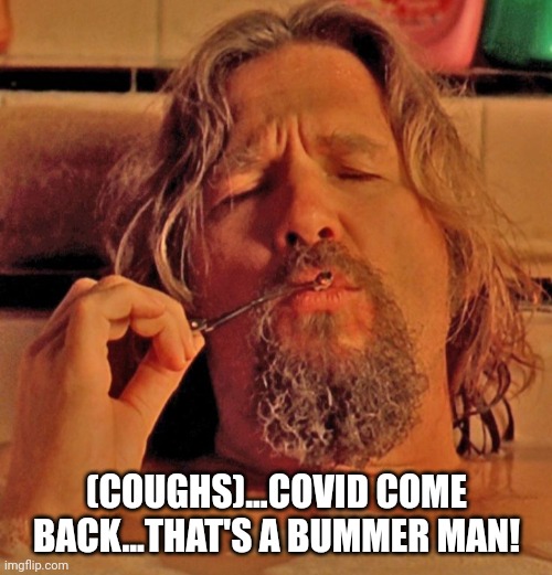 (COUGHS)...COVID COME BACK...THAT'S A BUMMER MAN! | made w/ Imgflip meme maker