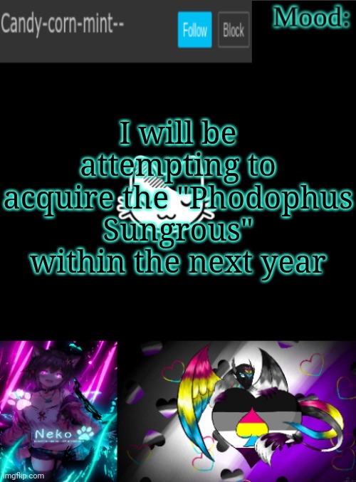 Candy-corn_mint--'s temp | I will be attempting to acquire the "Phodophus Sungrous" within the next year | image tagged in candy-corn_mint--'s temp | made w/ Imgflip meme maker