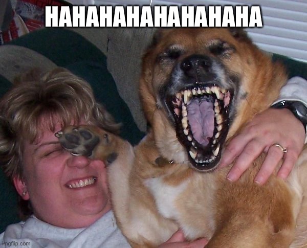 laughing dog | HAHAHAHAHAHAHAHA | image tagged in laughing dog | made w/ Imgflip meme maker
