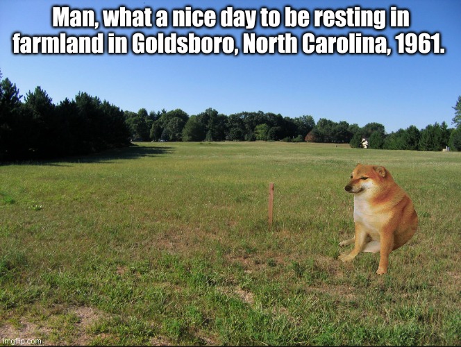 nice day | Man, what a nice day to be resting in farmland in Goldsboro, North Carolina, 1961. | image tagged in unnerving memes | made w/ Imgflip meme maker