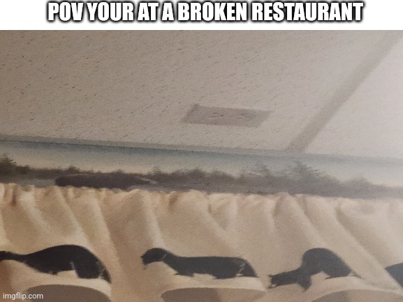 POV YOUR AT A BROKEN RESTAURANT | image tagged in funny memes | made w/ Imgflip meme maker