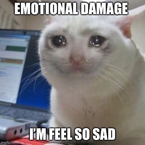 Crying cat | EMOTIONAL DAMAGE; I’M FEEL SO SAD | image tagged in crying cat | made w/ Imgflip meme maker