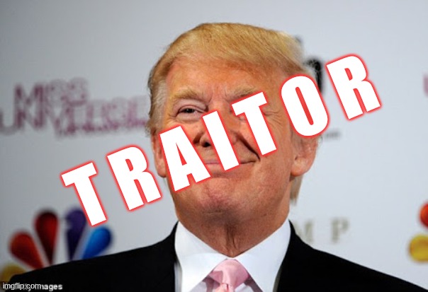 Donald trump approves | T R A I T O R | image tagged in donald trump approves | made w/ Imgflip meme maker