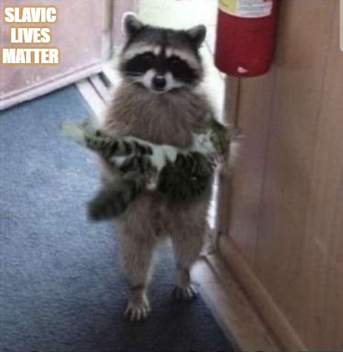 Cat raccoon | SLAVIC LIVES MATTER | image tagged in cat raccoon,slavic,slm,blm,freddie fingaz | made w/ Imgflip meme maker