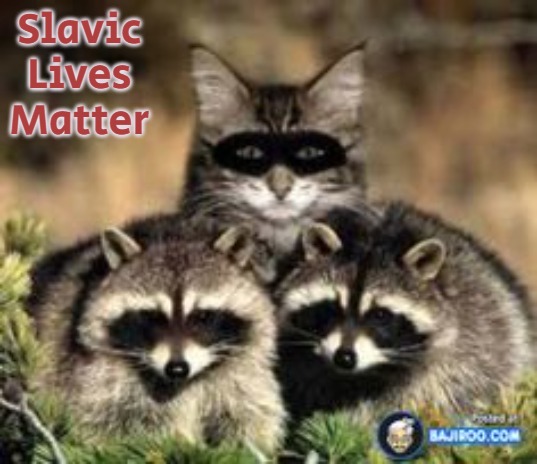 Cat Raccoon | Slavic Lives Matter | image tagged in cat raccoon,slavic,slm,blm,freddie fingaz | made w/ Imgflip meme maker