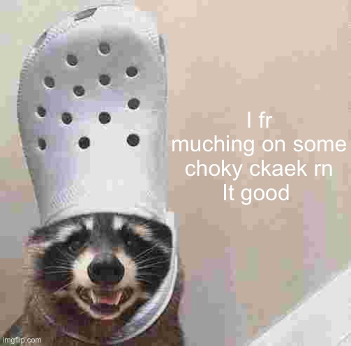 Raccoon croc hat | I fr muching on some choky ckaek rn
It good | image tagged in raccoon croc hat | made w/ Imgflip meme maker
