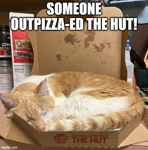 Someone outpizza-ed the Hut! | SOMEONE OUTPIZZA-ED THE HUT! | image tagged in cat,pizza hut,funny cat memes,pizza cat | made w/ Imgflip meme maker