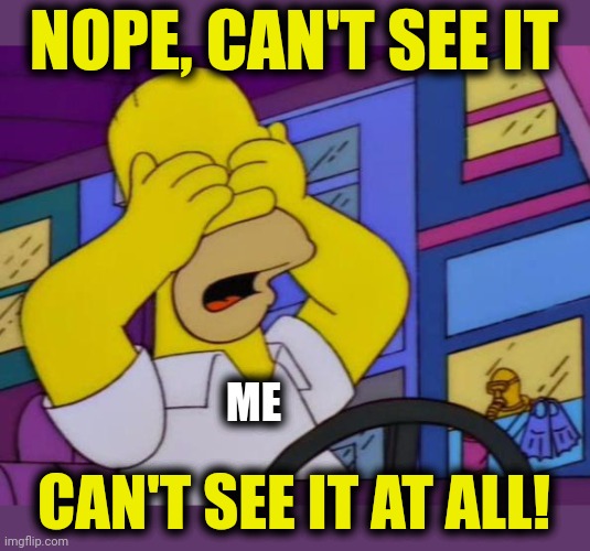 Homer It's Not Illegal | NOPE, CAN'T SEE IT CAN'T SEE IT AT ALL! ME | image tagged in homer it's not illegal | made w/ Imgflip meme maker
