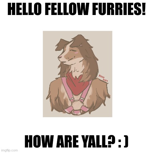 Hey hey! |  HELLO FELLOW FURRIES! HOW ARE YALL? : ) | image tagged in memes,blank transparent square,furry,the furry fandom | made w/ Imgflip meme maker