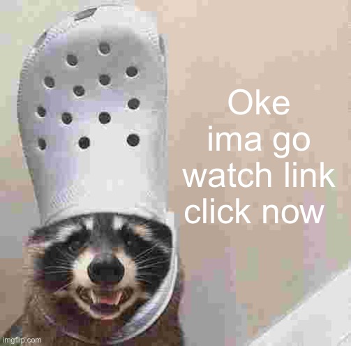 Raccoon croc hat | Oke ima go watch link click now | image tagged in raccoon croc hat | made w/ Imgflip meme maker